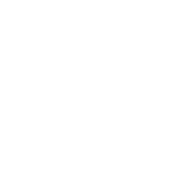 simple butterfly logo